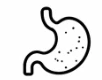 Gut Health